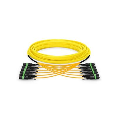 144F MPO/MTP Trunk Cable